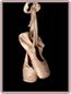 Ballet Slippers